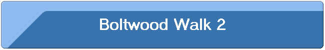 Boltwood Walk 2