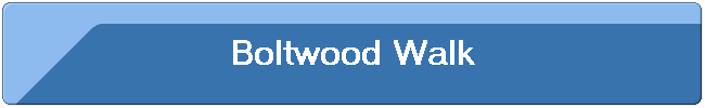 Boltwood Walk