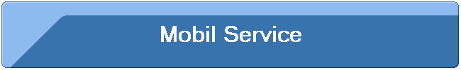 Mobil Service